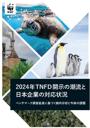 『2024年TNFD開示の潮流と日本企業の対応状況』を発表　～日本企業65社の開示状況を調査した実践的な参考情報として～