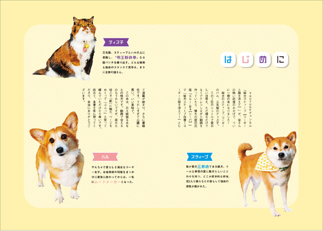 限定特典版が発売前に完売！ 人気アテレコ犬猫YouTubeチャンネル初のフォトエッセイ『柴犬スティーブ白書』が8月29日に発売
