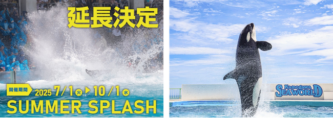 【鴨川シーワールド】続く夏を楽しもう!!シャチの「サマースプラッシュ」延長決定!!!