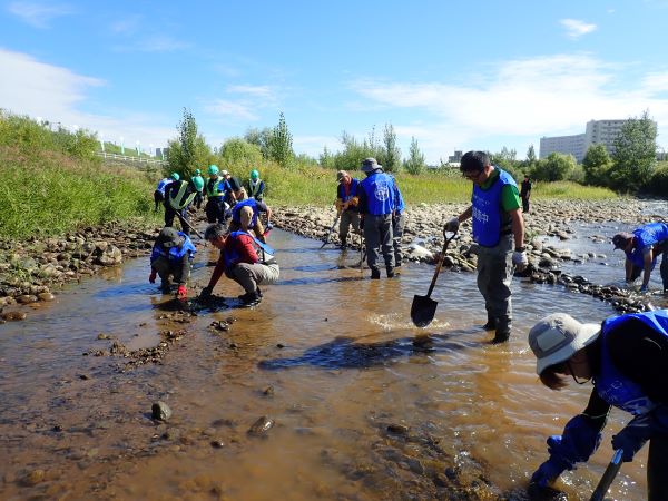 北海道の持続可能なサケ資源を守るため「豊平川のサケ産卵環境改善活動」を９月７日（日）に実施します