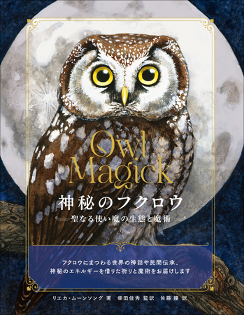 魔法世界と切り離せない使い魔の生態と伝承、魔術の実践レシピ集。『神秘のフクロウ』9月発売