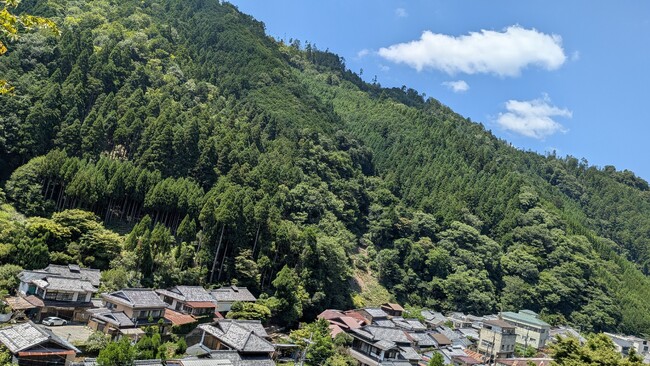 大阪・関西万博 関西パビリオン京都ゾーン　2025年9月1日からの「いのちの週」にNPO法人itswellnessが出展 ― 森林浴をテーマに、未来社会に向けたウェルネスツアーを提案