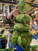 「嬬恋キャベツ419」バケツに積み放題