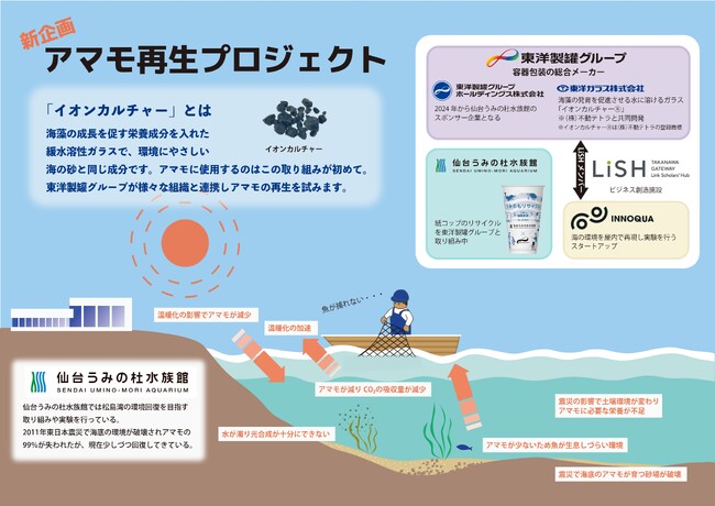全国でのブルーカーボン生態系の回復と生物多様性の保全に向けてアマモ再生プロジェクトを始動