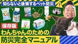 わんちゃんのための防災完全マニュアル(1)