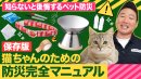 猫ちゃんのための防災完全マニュアル(2)