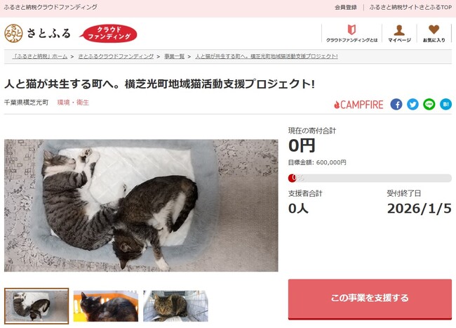 千葉県横芝光町とさとふる、飼い主のいない猫の補助事業を通じ、人と猫が共生できる町づくりを目指して寄付受け付けを開始