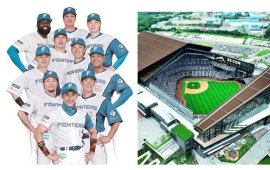 『北海道日本ハムファイターズ』