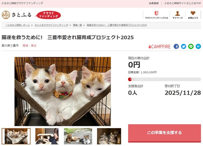 香川県三豊市とさとふる、地域猫活動(※)の継続を通して人と猫が共生できるまちを目指し、寄付受け付けを開始