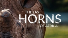 ドキュメンタリー映画『ザ・ラスト・ホーンズ・オブ・アフリカ』が、9月1日（月）、サイエントロジー・ネットワークにてアンコール放送
