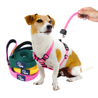 小型犬・中型犬向け「PeslaノンタングルH型ハーネス3点セット」　Amazonにて9月限定特別価格キャンペーンを実施！