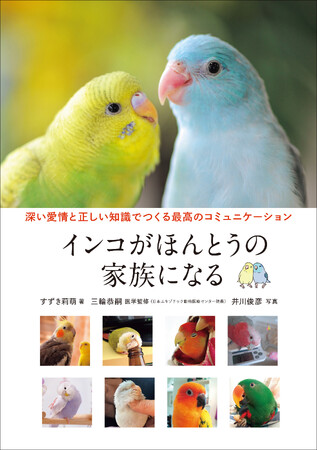 インコをわが子として接するためにする、あらゆることを正しく愛情深くお届け！