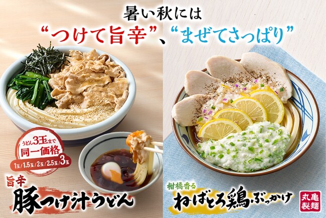 《“まだ夏” 暑い日が続く秋に、丸亀製麺からの新提案》まだまだ暑さが終わらない日々の、本音に寄り添う　“旨辛”か“さっぱり”が選べる冷たいうどん2種登場！