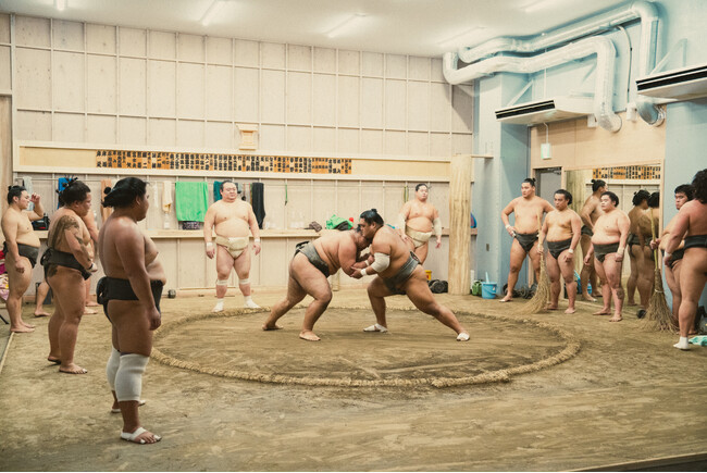 Japan Wonder Travel、元横綱・照ノ富士が継承した新生伊勢ヶ濱部屋で”本物の相撲体験ツアー”を開始