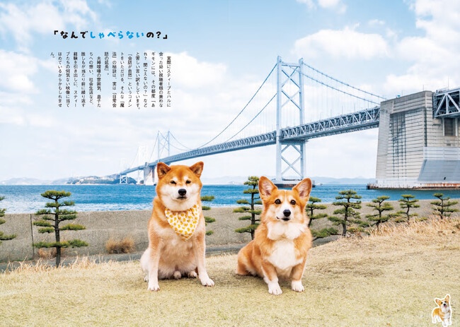 【発売3日で増刷決定！】完売書店続出の『柴犬スティーブ白書』から増刷記念キャンペーンのお知らせ