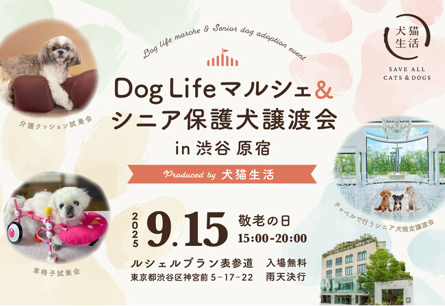 夕暮れどきのドッグイベント＆チャペルで出会う、新しい家族　｜　犬猫生活、「敬老の日」にシニア犬応援イベントを開催！犬も人も楽しめる物販・体験マルシェ、シニア犬限定保護犬譲渡会も実施