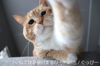 小江戸・川越に『ねこ休み展』初上陸！10周年記念となる今年、大人気猫作品＆限定グッズなど満載で9/24(水)～10/6(月)に開催