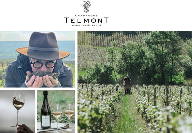 サステナブルなアプローチでシャンパーニュの新時代を切り拓くテルモン、テロワールに育まれ、太陽の輝きをまとった力強いキュヴェ、「レゼルヴ・ド・ラ・テール・ロゼ（オーガニック）」を発表