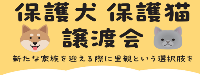 保護犬・保護猫の譲渡活動が拡大中！2025年９月以降　綿半店舗開催の譲渡会スケジュールが決定！