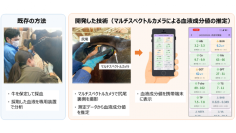 採血せずに牛の血液検査を実現する画期的技術を開発(北里大学)