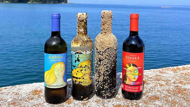 三浦・小網代湾発【初出荷カキ×海底熟成ワイン】で“究極のペアリング”を数量限定解禁！富士山を望むヨットの聖地「リビエラシーボニアマリーナ」で贅沢なひととき。