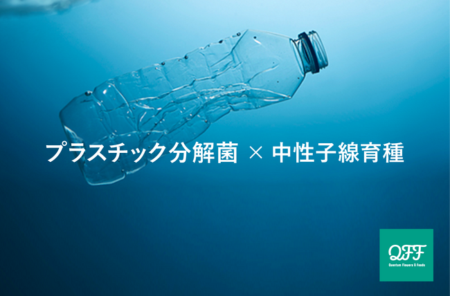 福島大学とQFF、中性子線スピーディ育種(R)でプラスチック分解菌を強化