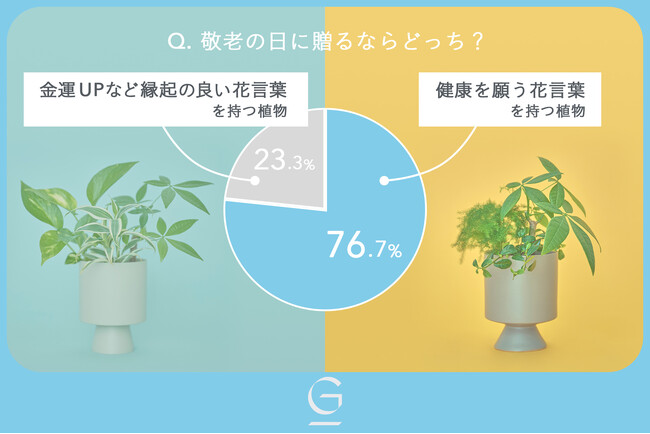 【土を使わないグリーンブランド「&Green」】敬老の日キャンペーンとしてアンケート結果をもとに観葉植物Set『Isaac』を9月4日より限定価格で販売開始！