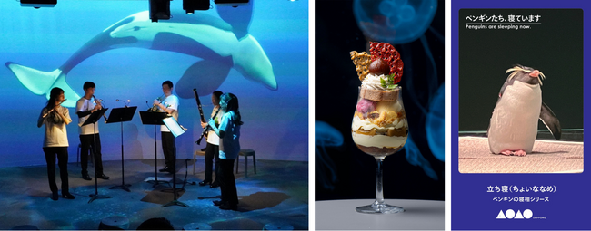 秋の夜長に、まちなかの水族館で「幸せな夜更かし」を　夜の水族館で様々なカルチャーが融合する、定番イベント「AQUARIUM JAM（アクアリウム ジャム）」がスタート