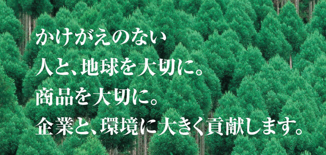 【ラップ巻、PPバンドから代替】パレマジック（たて型）Wタイプ 荷崩れ防止バンド
