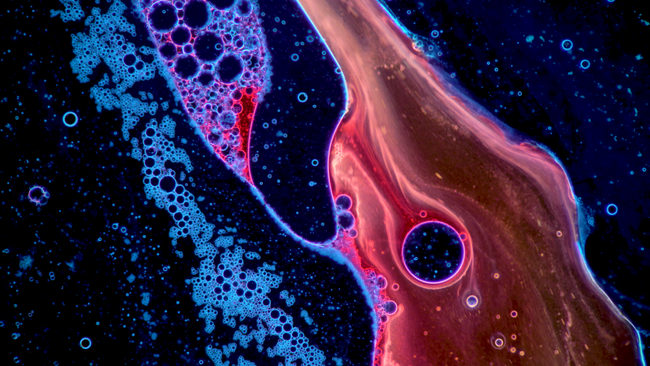 大阪・関西万博のドイツ館で、ZEISSの最新顕微鏡を用いたライブパフォーマンスを開催 アーティスト集団Magnificent Matterがクラシック音楽ととも幻想的なライブ顕微鏡映像を披露