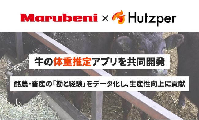 製造業向けAI技術のフツパー、丸紅と牛の体重推定アプリを共同開発