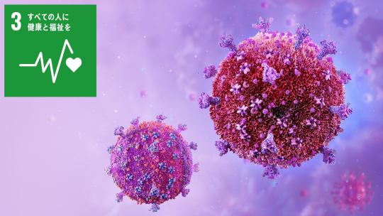 日本人COVID-19感染回復者で誘導され、長期間維持される強力なキラーT細胞応答を発見