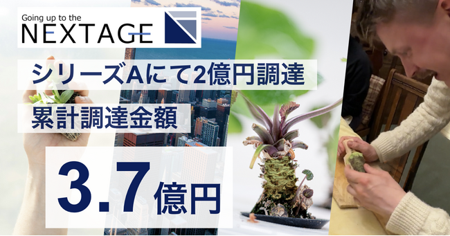 わさび栽培のNEXTAGE、シリーズAラウンド（2nd close）で2億円の資金調達を実施