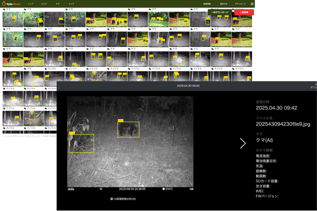 クマ対策AI通知ソリューション モニター募集キャンペーン開始
