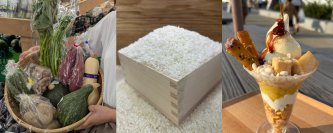 茨城県常総　新米・ぶどう・さつまいもなど秋の味覚を楽しむイベント9月13日(土)～9月23日(火)『常総　秋の収穫祭』開催