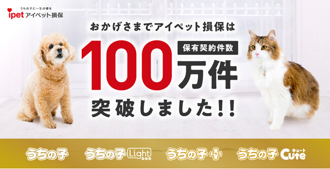 【アイペット損保】保有契約件数が100万件を突破!