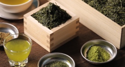 日本茶農家・茶師・代表が語る無料イベントを9月6日『ネオヨコチョウ』で開催。新宿で日本茶の新しい魅力を発見！