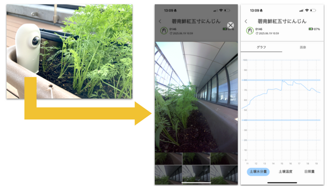 アイティフォー、オフィス菜園を活用した社会貢献活動でプランティオと協業