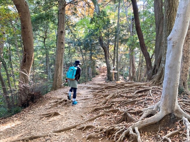 登山で一番困るのはトイレ問題？―南極観測隊の経験がある山口直子講師と学ぶ、紅葉の高尾山ワークショップツアー