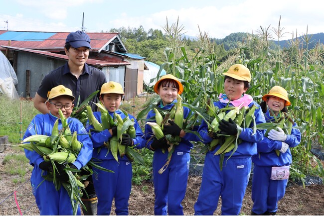 【飛騨高山・岐阜県高山市】高山市朝日小学校の児童が“幻のとうもろこし”「タカネコーン」の収穫体験！