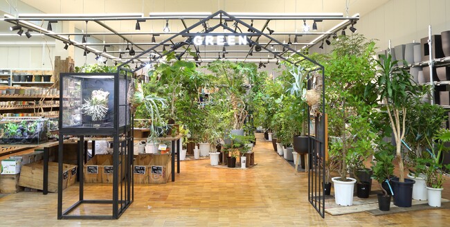 アヤハディオ吉祥院八条店　リニューアル　― 植物売場の拡張とDIY・生活用品の充実で、より魅力的な店舗へ ―