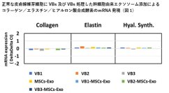 抗ウイルス・抗菌の『VB』＆幹細胞由来エクソソームの新境地　VBの主成分による皮膚に対する抗老化作用とそのメカニズムを解明