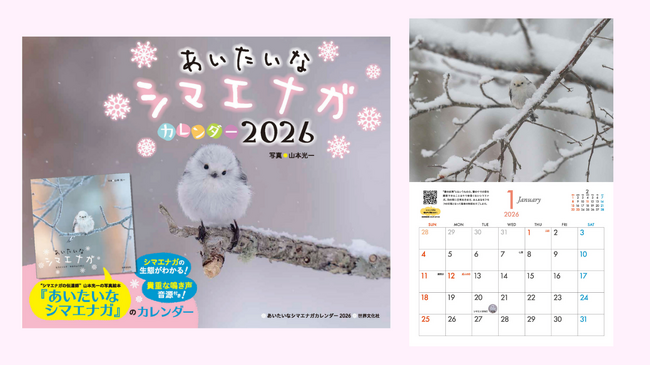 かわいすぎて大人気！写真絵本『あいたいな シマエナガ』発のカレンダーが今年も登場！9月11日発売