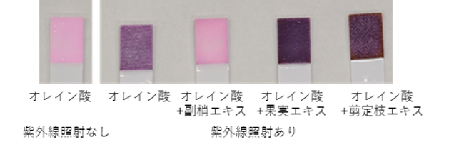 第54回欧州研究皮膚科学会にて発表 副梢エキスの紫外線による皮脂酸化を抑制する研究成果を報告