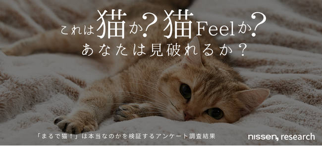 3000人以上が挑戦して、なんと全問正解者0人！”まるで猫”なニッセンオリジナル寝具『猫フィール』を毛布だと見破れるかを調査した結果、猫への擬態度は昨年よりも向上していると判明！