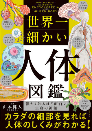 【大人の知的好奇心を満たす図鑑】人体のしくみを知る面白さを味わえる！『世界一細かい人体図鑑』が9月16日に発売