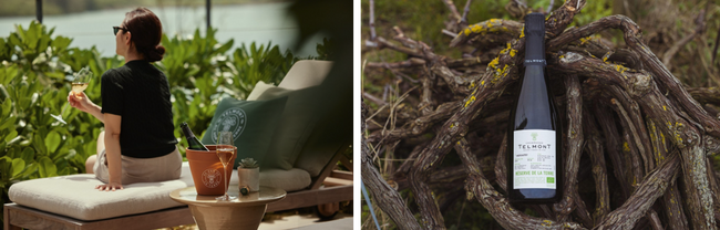 サステナブルなアプローチでシャンパーニュの新時代を切り拓くテルモン、宮古島の碧い海と心地よい風に包まれる「ローズウッド宮古島」と期間限定イベントを開催