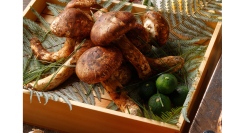 ＜5th Anniversary Event＞9/26(金) Premium Buffet 極 －KIWAMI－第5弾 日本料理「松茸」