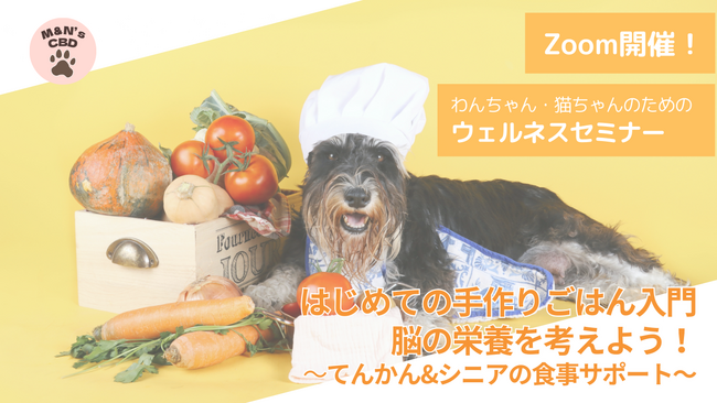 【開催報告】てんかん・シニア期のごはんに悩む飼い主さんへ。食事から“脳と体を整える”無料オンラインセミナーを開催しました