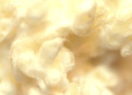 自家製の白米麹